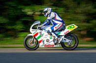 Classic RoadRacing by Walter Kleeven thumbnail
