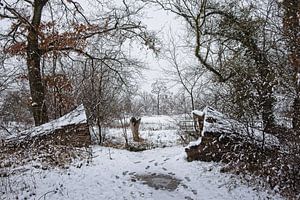 Le passage sur Rob Boon