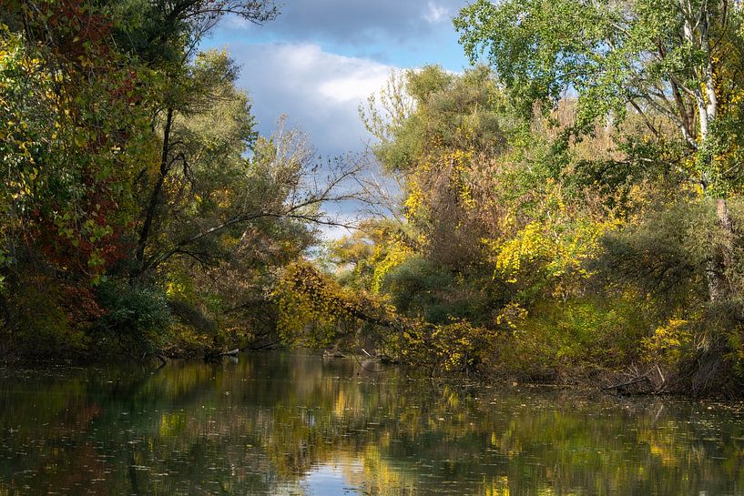 stille wateren, gekleurde bossen van Eugenlens