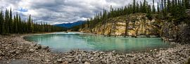 Athabasca River by Ton de Koning