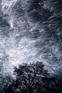 Fireworks 2