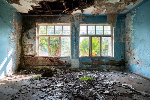 Tropical Vue in Decay.