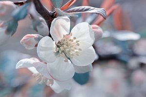 Frühling