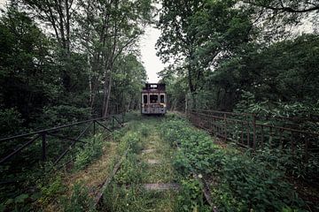 Een verlaten trein in het bos bij België van Steven Dijkshoorn