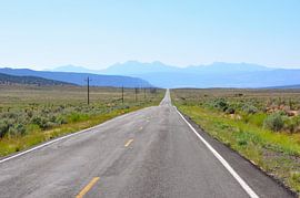 Long road sur Fred van den Brink