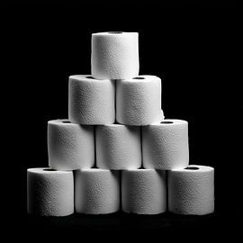 Pyramide aus Toilettenpapier von TheXclusive Art