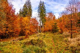 Autumn hike through the Spittergrund near Tambach-Dietharz to the waterfall by Oliver Hlavaty
