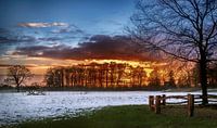 Zonsondergang achter de bomen in een winters landschap