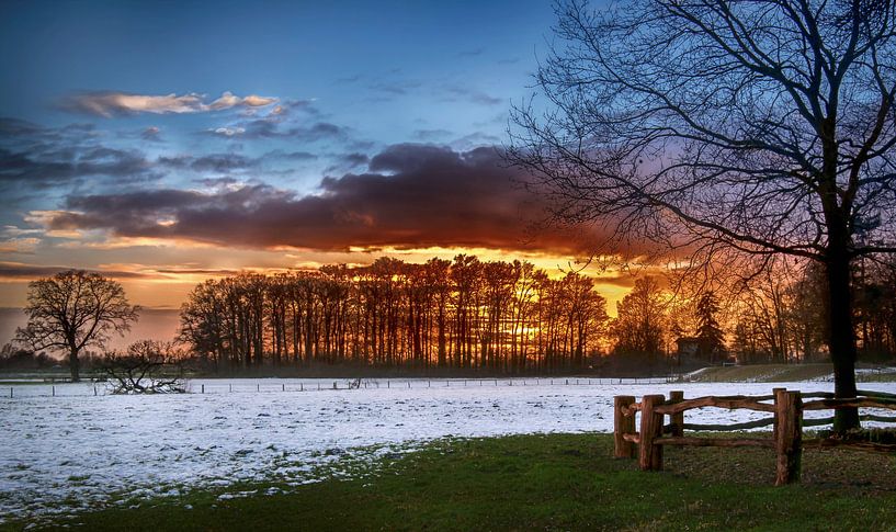 Zonsondergang achter de bomen in een winters landschap par Ralf Köhnke