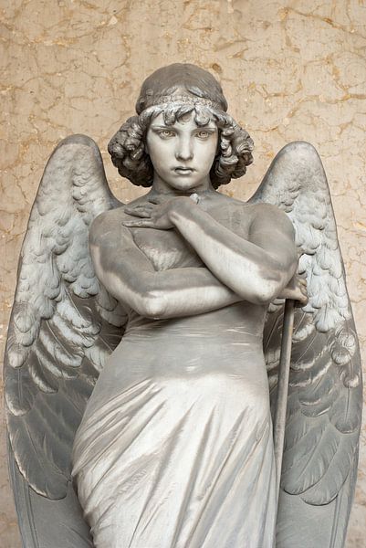 Staring angel van Willem Havenaar
