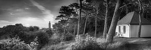 Landschaft mit Leuchtturm und Wald auf Hiddensee. Schwarzweiß