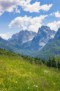 Kaisertal mit Blumenwiese und Ellmauer Halt,  Kaisergebirge, Tir