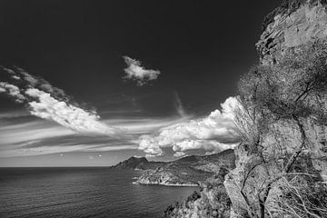 Paysage côtier de la Corse sur Manfred Voss, Schwarz-weiss Fotografie