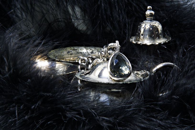 silver and fluffy by joyce kool