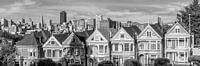 Painted Ladies & San Francisco Skyline | Monochroom van Melanie Viola thumbnail