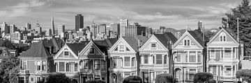 Painted Ladies & San Francisco Skyline | Monochroom van Melanie Viola