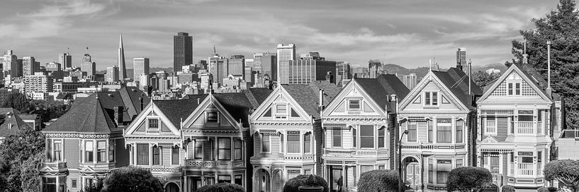 Painted Ladies & San Francisco Skyline | Monochrom von Melanie Viola