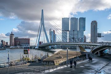 Erasmusbrug Rotterdam van Peter Schickert