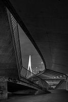 De Erasmusbrug doorkijkje