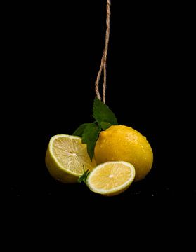 Lemons in the spotlight. by SO fotografie