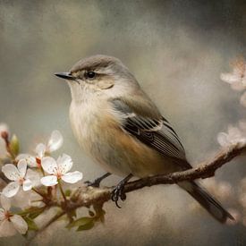Zachte vogel op bloesem - rustige tinten van Joriali Fine Art