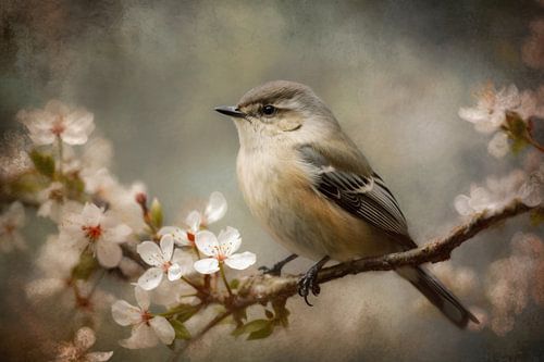 Zachte vogel op bloesem - rustige tinten van Joriali Fine Art
