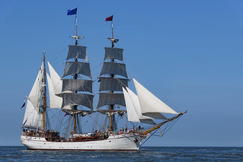 Triple masted barque Artemis classic sailing ship sailing on the Waddensea by Sjoerd van der Wal