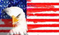 USA Flag en Eagle van Brian Raggatt thumbnail