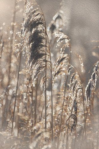 Plumes de roseau peinture à l'huile magie