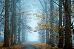 Long Way Home