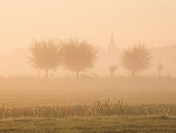 Zonsopkomst in de polder