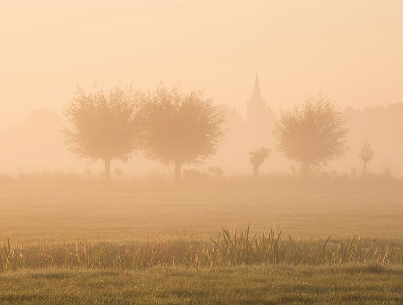 Golden hour in the polder by Raoul Baart