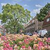 Bloemen in de Gerard Noodtstraat - Tuinwijk - Utrecht van Coen Koppen