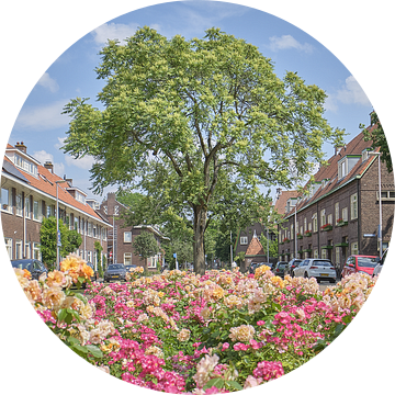 Bloemen in de Gerard Noodtstraat - Tuinwijk - Utrecht van Coen Koppen