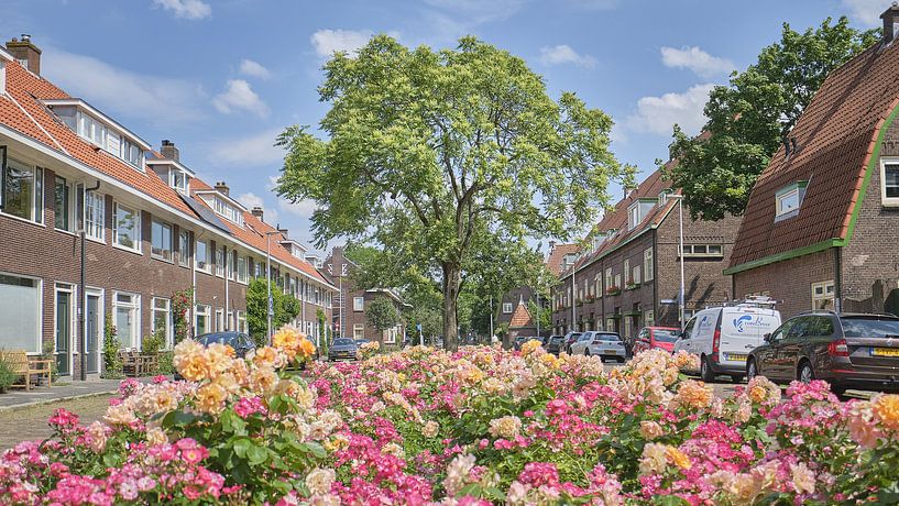 Bloemen in de Gerard Noodtstraat - Tuinwijk - Utrecht van Coen Koppen