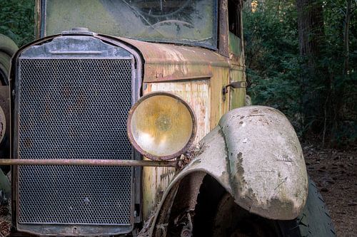 Oldtimer im Wald