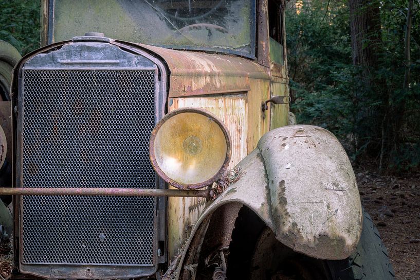 Oldtimer im Wald von Tim Vlielander