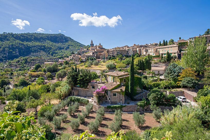 Mallorca - Valldemossa van t.ART