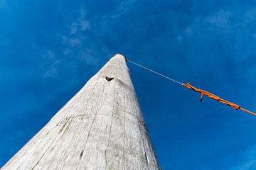 One of the high poles of the Palendorp near Petten by Wim Stolwerk