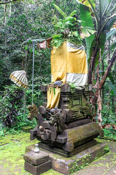 Altar with cloth between the trees. by Mickéle Godderis