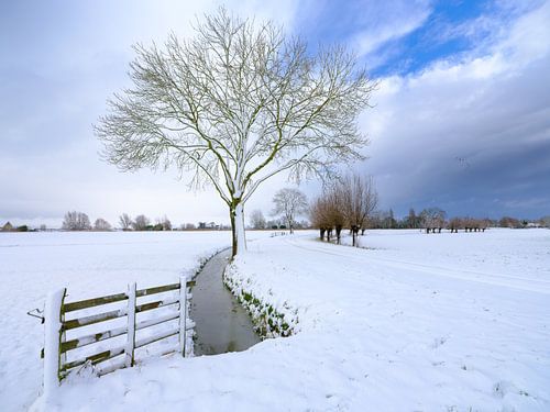 Hollands winter landschap