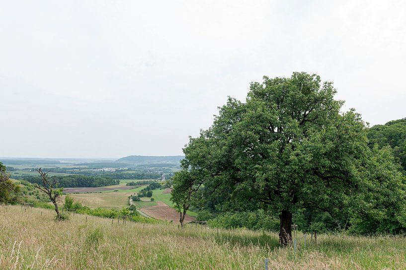 Luxembourg view by Richard Wareham