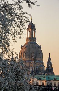 Le printemps à Dresde