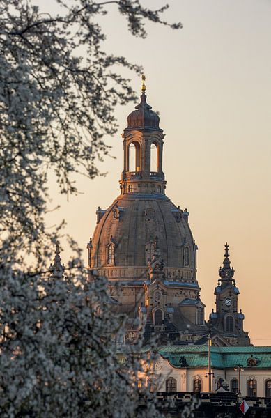 Frühling in Dresden von Sergej Nickel
