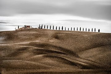 Chemin des cyprès avec ferme et collines et champs bruns en Toscane sur Voss Fine Art Fotografie