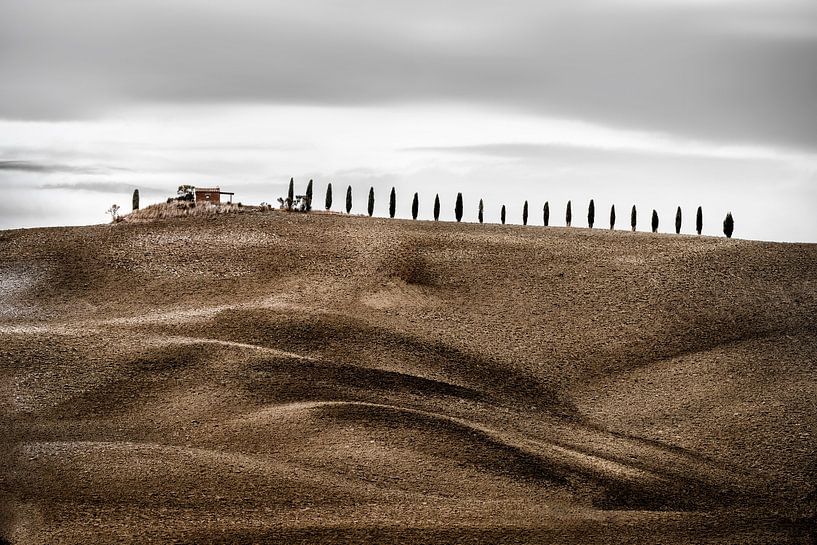 Cipressenpad met boerderij en bruine heuvels en velden in Toscane van Voss fotografie