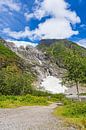 View of the Supphellebreen glacier tongue near Fjærland in No by Rico Ködder thumbnail