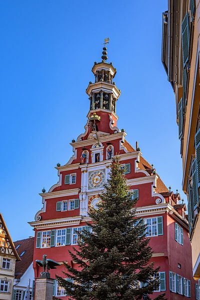 BADEN-WÜRTTEMBERG : ESSLINGEN AM NECKAR van Photoart-Naegele