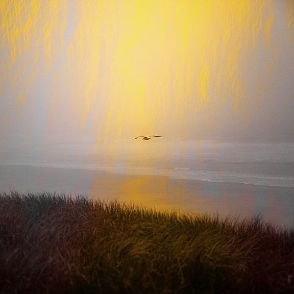 Vol, conceptuel. Mer du Nord par Yanuschka | Fotografie Noordwijk
