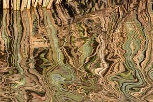 Riet weerspiegeld in water
